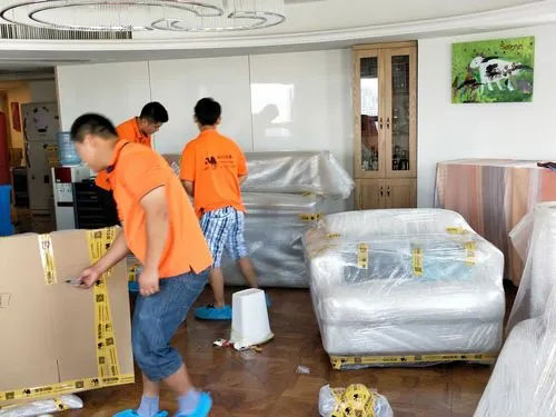 萨嘎精品搬家公司